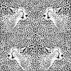 Cheetah Skins and Heads